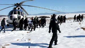 Tocmelile de la Vama Naidăş: 