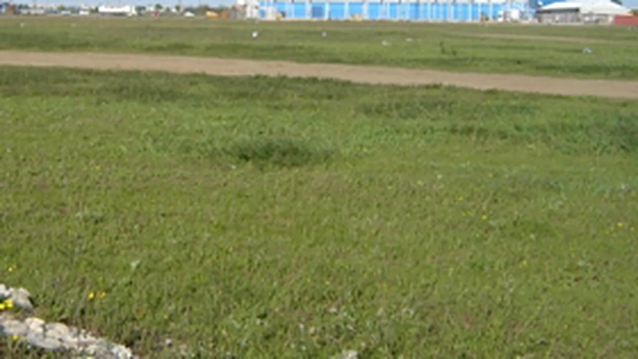 Land Prices Near Bucharest Seen Hiking Up To 200% Over Next Five Yrs