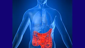 O bacterie, posibil tratament pentru una dintre cele mai întâlnite maladii intestinale