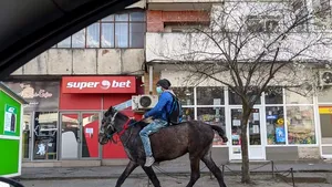 VIDEO Tânăr călare pe un cal, în drum spre maternitate în Iaşi