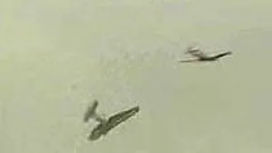 Două avioane s-au ciocnit, la un spectacol aviatic din Polonia
