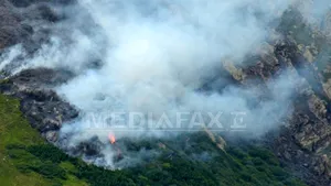 Intervenţiile la incendii de vegetaţie uscată continuă în Argeş, Prahova, Braşov şi Covasna