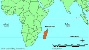 Epidemie de ciumă în Madagascar. Cel puţin 30 de persoane, decedate 