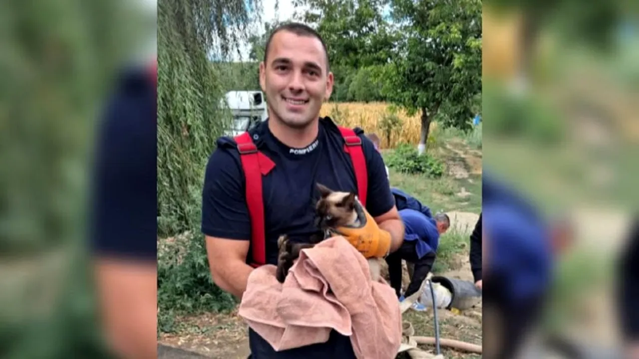 Pisică salvată de Ziua Pompierilor, după ce a dispărut două zile. Intervenția a durat aproape patru ore
