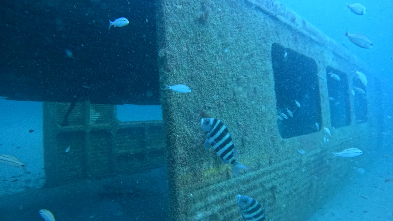 Vagoanele vechi de metrou din Atlanta îşi găsesc un nou scop pe fundul oceanului