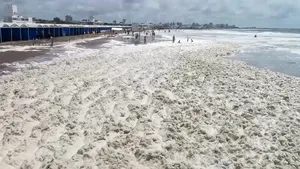 VIDEO La joacă, pe malul mării. Turiştii din staţiunea Mar del Plata s-au bucurat de un fenomen natural mai puţin obişnuit
