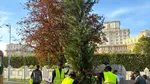 Bulevardul 13 Septembrie se transformă în coridor verde. Ciucu anunță 1.200 de arbori și 25.000 de arbuști