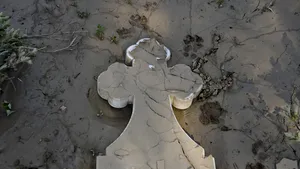 Un tânăr din judeţul Ilfov a fost reţinut după ce ar fi profanat cadavrul unei bătrâne 