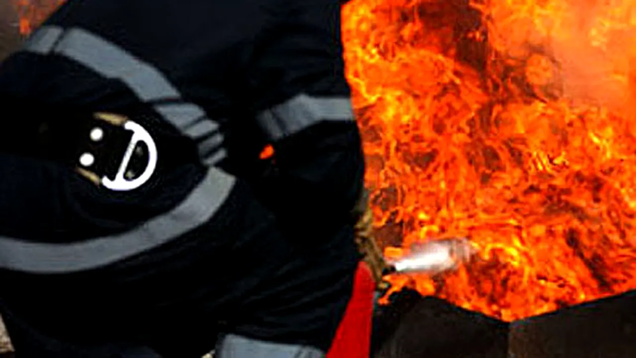 Incendiu puternic la o fabrică din Mogoşoaia - VIDEO