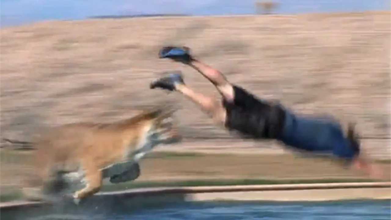 Gestul incredibil al unui îngrijitor de la o grădină zoologică - VIDEO 