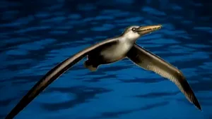 Nouă descoperire despre cea mai mare pasăre marină din istorie - VIDEO