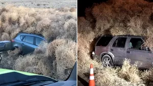 VIDEO | Imagini incredibile surprinse pe o autostradă din Statele Unite. Mai multe maşini, captive într-un zid de iarbă de 5 metri