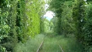 Tunelul Iubirii din România, inclus pe lista 