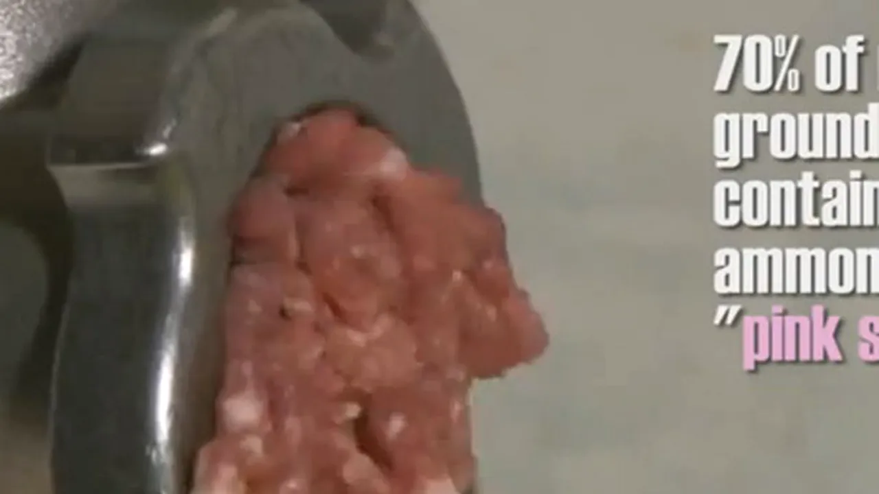 Ce conţin în realitate hamburgerii, mierea şi iaurtul grecesc. Lucruri pe care trebuie să le ştii despre mâncare - VIDEO