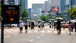 Temperaturi record în Peninsula Coreeană. Cea mai ridicată temperatură din ultimii 122 de ani
