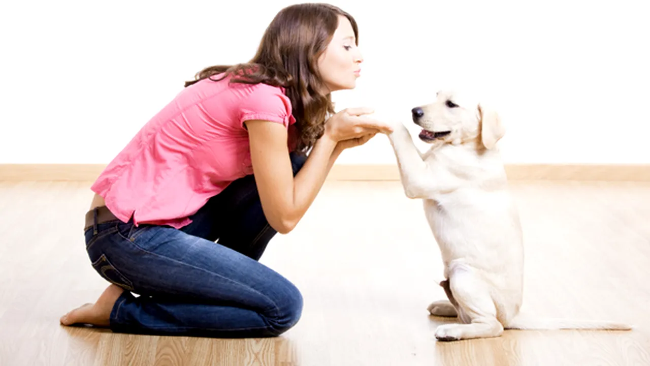 Proprietarii animalelor de companie au o inimă mai sănătoasă