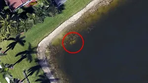 Un misterios caz de dispariţie, vechi de peste 20 de ani, rezolvat de Google Earth. Incidentul este demn de filmele de groază | FOTO, VIDEO