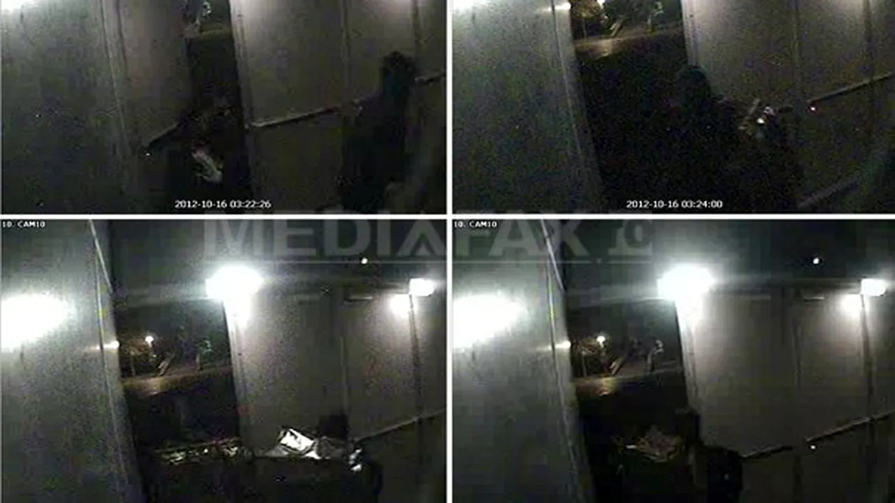 Românca arestată în Olanda era iubita lui Radu Dogaru la momentul furtului de tablouri
