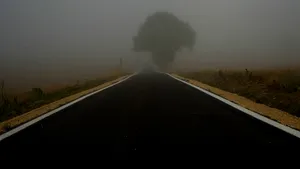 Cod galben de ceață densă în mai multe județe din estul țării. Autoritățile recomandă șoferilor să circule cu prudență