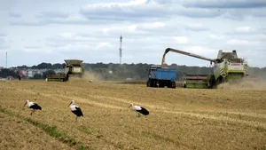 Polonia nu va accepta anularea restricţiilor privind cerealele din Ucraina. România, îndemnată să adopte o poziţie similară