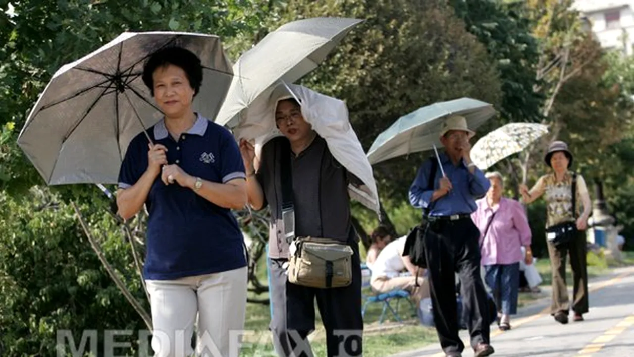 Guvernul va elabora săptămâna viitoare calendarul proiectelor de investiţii convenite cu China
