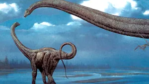 Primele urme de dinozauri din Peninsula Arabică