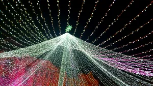 Feerie de culori în centrul Timişoarei. Târgul de Crăciun, deschis oficial de 1 Decembrie - FOTO