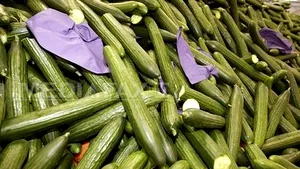 PM Says Romanian Produce Is Safe