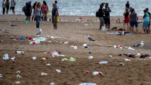 Produsele din plastic de unică folosinţă: mărul discordiei între Tánczos Barna şi omologii de la Economie şi Sănătate