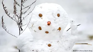 Cum a produs un om de zăpadă pagube de 5.000 de euro unui tren de mare viteză, în Germania