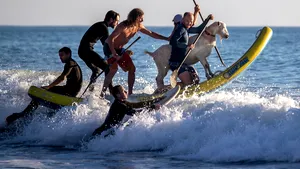 FOTO VIDEO Surfing alături de capre. Un instructor din California predă lecţii de surf inedite
