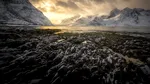 Cel mai mare furnizor de gaze al Europei sfidează interdicția UE și continuă forajele în Arctica:  „A fost o idee greșită”