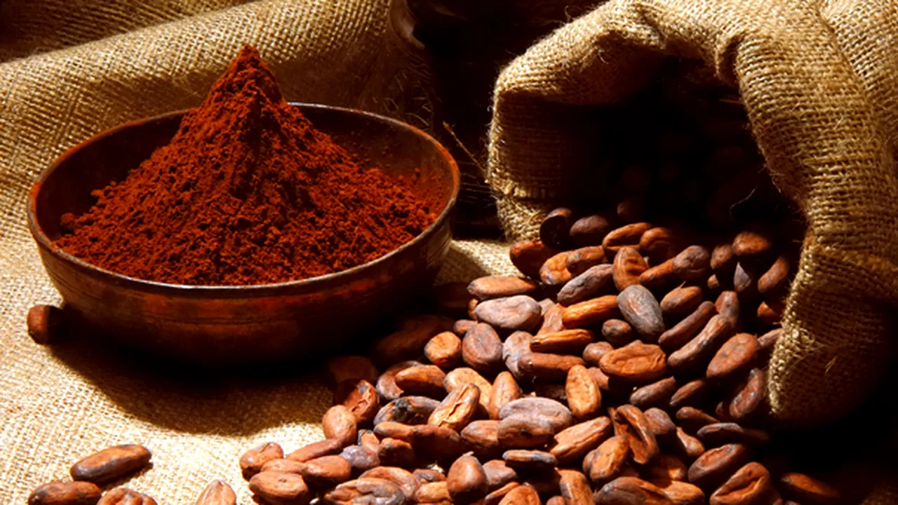 Industria mondială de cacao ar putea înregistra un SURPLUS timp de mai mulţi ani
