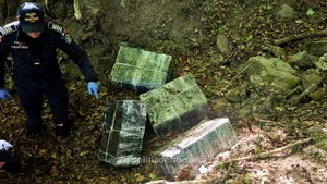 Maramureș: Mii de pachete de țigări ascunse în pădure și în mobilier