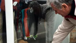 Inspectorii ANAF au desigilat magazinul în care era captivă o pisică. Animalul nu a fost găsit