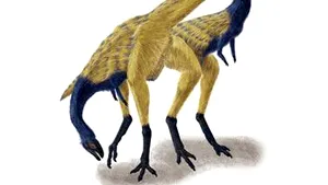 Un dinozaur descoperit în China ar putea fi strămoşul păsărilor