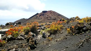 Autorităţile spaniole evacuează oamenii de pe insula La Palma. Vulcanul Cumbre Vieja a erupt