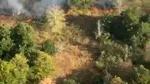 Incendii violente de vegetație în Caraș-Severin. Flăcările înaintează rapid spre case, zeci de pompieri intervin
