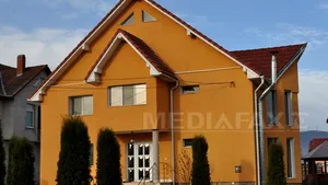 Ce averi au cei trei poliţişti reţinuţi pentru fapte de corupţie: Terenuri, vile, case de vacanţă - FOTO