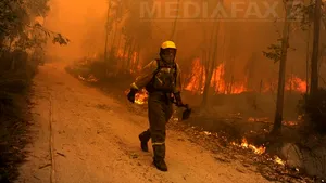 Incendiu devastator în nordul Spaniei: 10.000 de hectare de vegetaţie au fost distruse