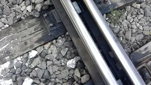 TRAGEDIE lângă Bucureşti: O femeie s-a aruncat în faţa trenului împreună cu cei trei copii ai săi. Un bilet de adio, găsit de poliţişti/ UPDATE: Circulaţia a fost reluată, însă trenurile spre/dinspre litoral circulă cu întârzieri | FOTO