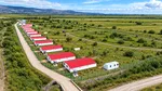 Carmistin The Food Company crește producția de alimente organice, prin deschiderea unei noi ferme de pui de carne BIO, la Săhăteni – COMUNICAT