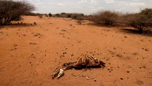 Insula verde a devenit roşie. Madagascar se luptă cu o secetă îndelungată şi, posibil, cu 
