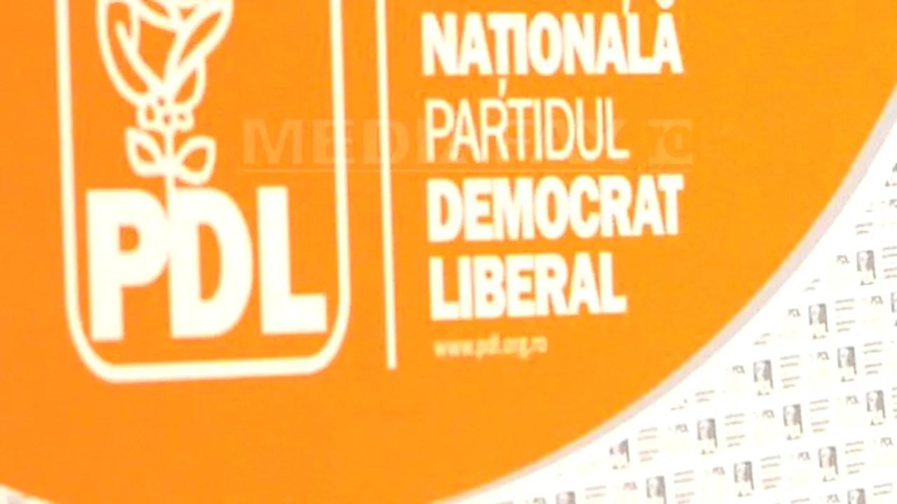 Alegerile din PDL - 