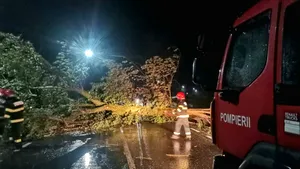 Cod portocaliu în Teleorman: Gospodării fără curent, copaci căzuți și stâlpi avariați