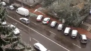 Suceava: Echipe de deszăpezire au intervenit cu materiale antiderapante în urma primelor ninsori - VIDEO