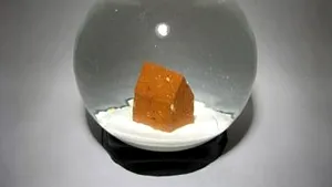 Mircea Nicolae, câştigător al rezidenţei artistice la Bienala de la Veneţia