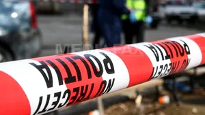 Bucureşti: 13 maşini INCENDIATE în cartierul Drumul Taberei - FOTO