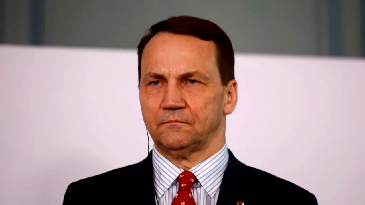 Planul Germaniei de înăsprire a controalelor la frontiere, criticat de Polonia