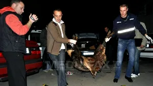 Fostul ofiţer SRI prins la vânătoare de capre negre a primit interdicţie de părăsire a localităţii